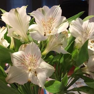 Meet your Posher, Jiahong